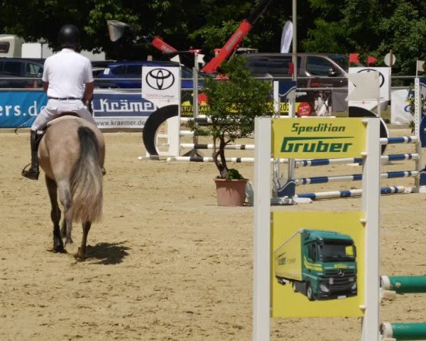Reitturnier Winnenden 2024