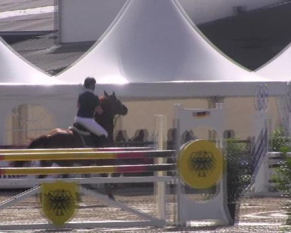 Datteln 2012