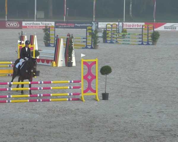 Reitturnier Westergellersen 2021