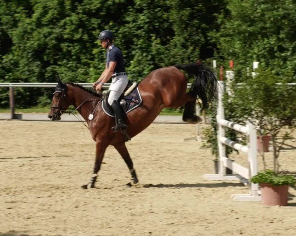 Reitturnier Winnenden 2024