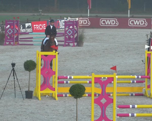 Reitturnier Westergellersen 2021