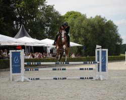 jumper Bubblegum 11 (Oldenburg show jumper, 2014, from Balous Crack)