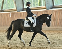 Zuchtstute Proud Sweet Kiss (Deutsches Reitpony, 2010, von Proud Rocketti)