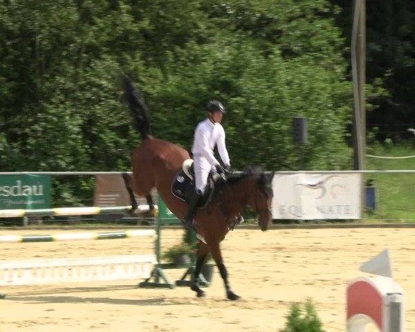 Reitturnier Oelde 2024
