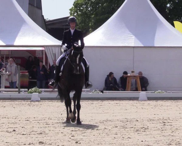 Reitturnier Sörup 2024
