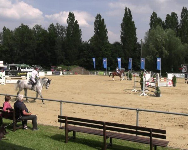 Reitturnier Oelde 2024