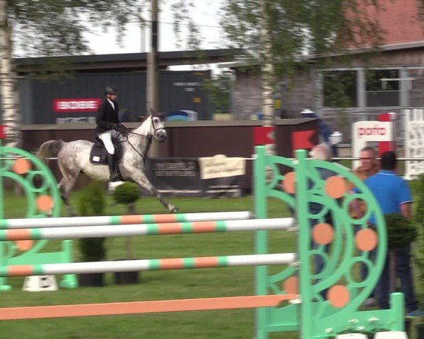 Reitturnier Hille 2024