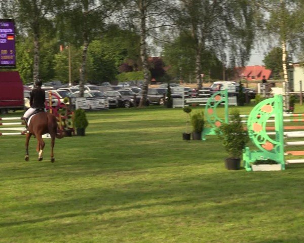 Reitturnier Hille 2024