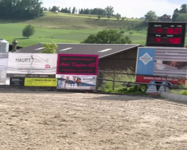 Reitturnier Ruswil 2024