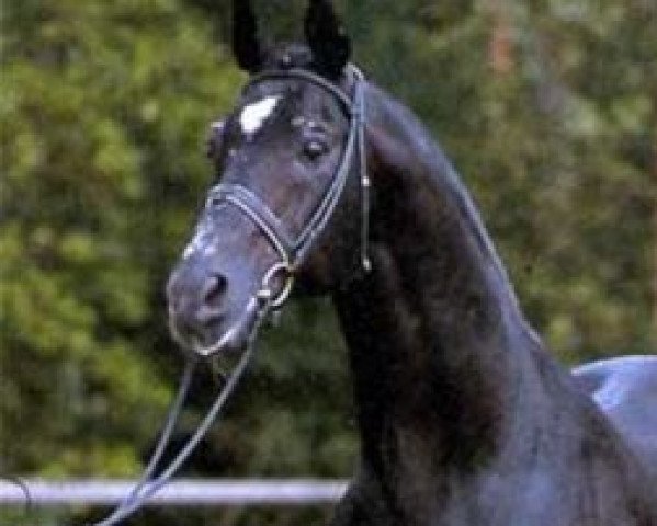 horse Salut (Hanoverian, 1966, from Sender)