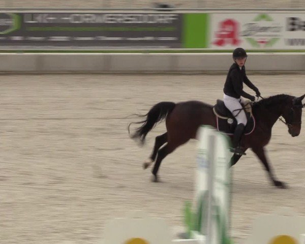Reitturnier Dorfchemnitz 2024