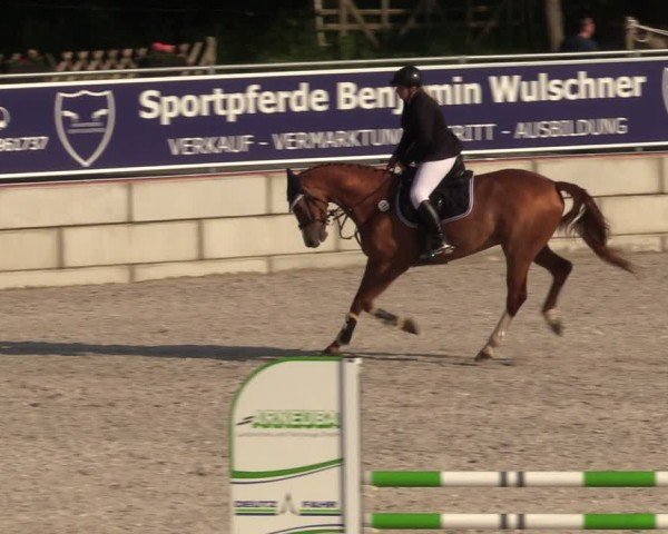 Reitturnier Dorfchemnitz 2024