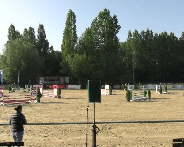 Reitturnier Oelde 2024