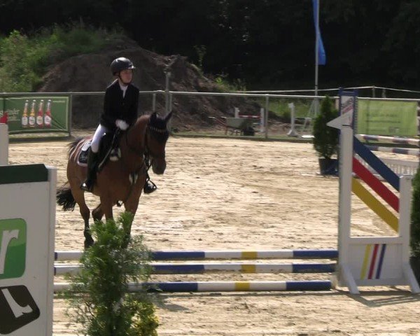 Reitturnier Oelde 2024