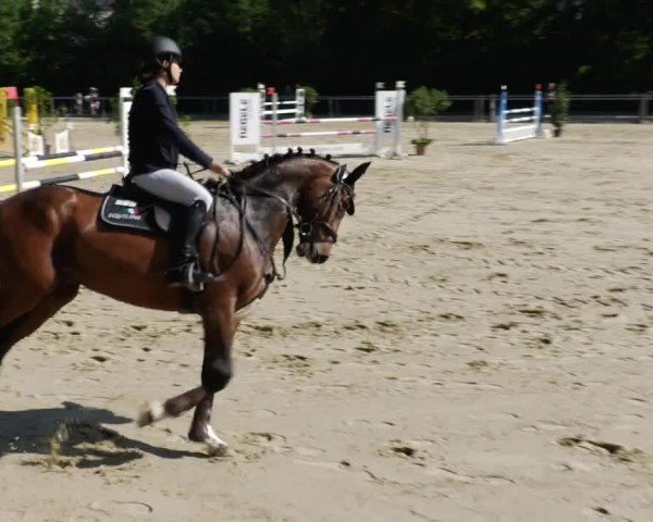 Reitturnier Winnenden 2024