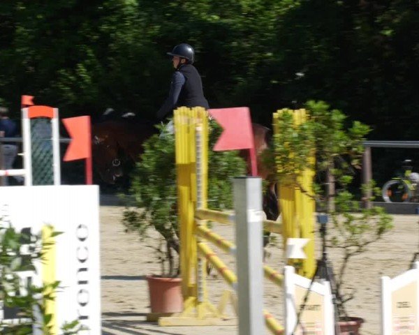 Reitturnier Winnenden 2024