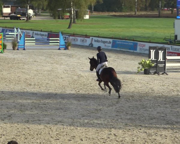 Reitturnier Westergellersen 2021