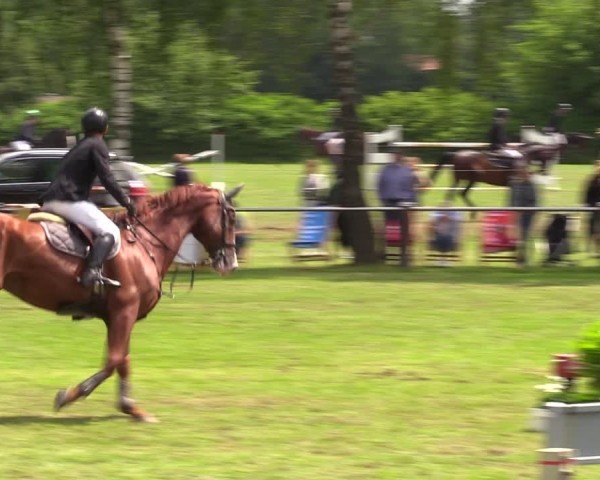 Reitturnier Hille 2024