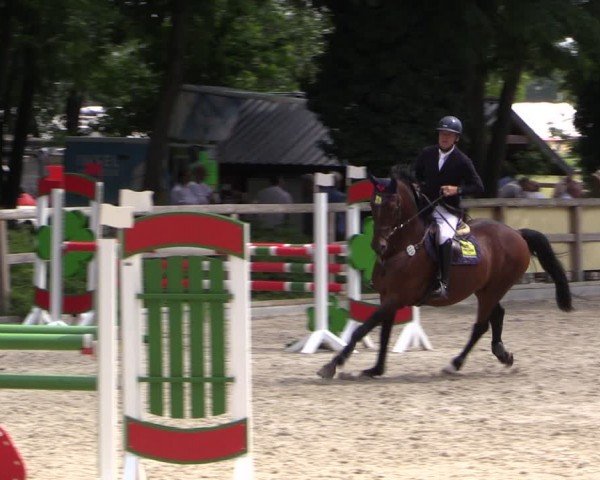 Reitturnier Ruhlsdorf 2024