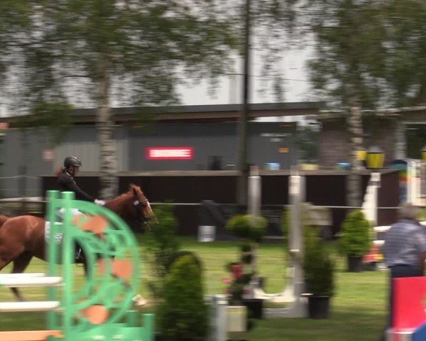 Reitturnier Hille 2024