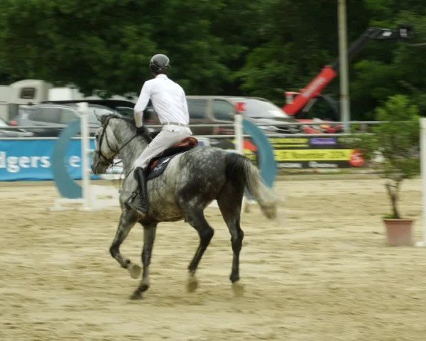 Reitturnier Winnenden 2024