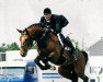 stallion Rubens du Ry D'Asse (Belgian Warmblood, 1994, from Argentinus)