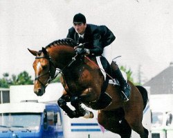 Deckhengst Rubens du Ry D'Asse (Belgisches Warmblut, 1994, von Argentinus)