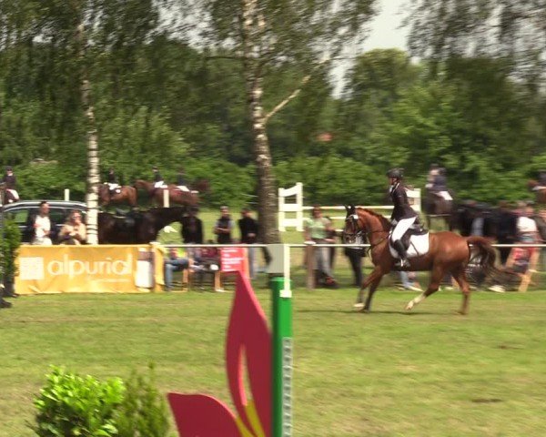 Reitturnier Hille 2024