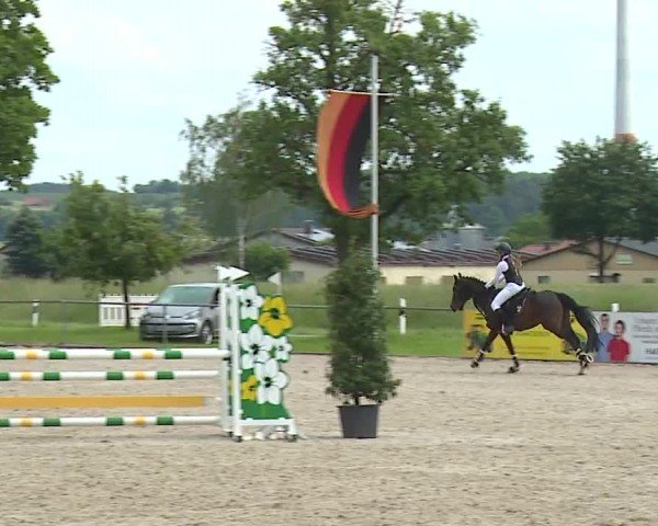 Reitturnier Rot am See- Musdorf 2024