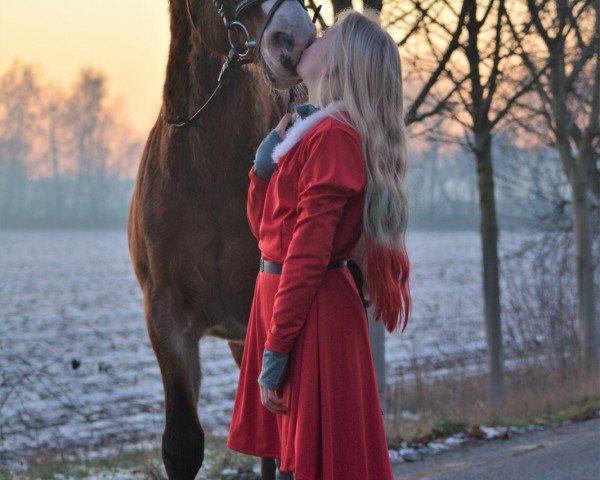 Springpferd Nerlingo Star (Deutsches Reitpony, 1998, von Next Star)