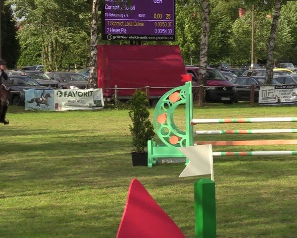 Reitturnier Hille 2024