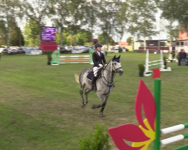 Reitturnier Hille 2024