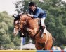 stallion Andiamo (KWPN (Royal Dutch Sporthorse), 1993, from Animo)