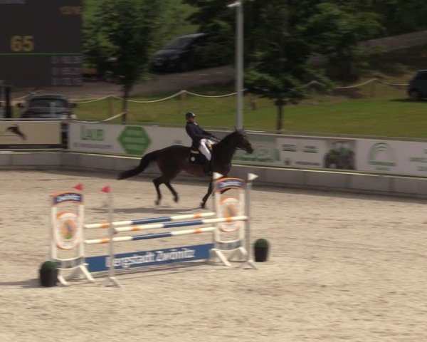 Reitturnier Dorfchemnitz 2024