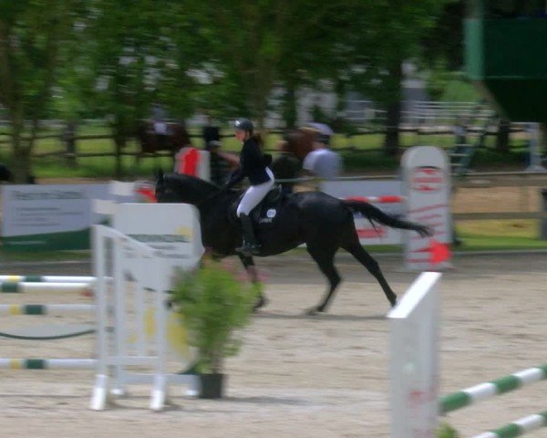 Reitturnier Barlo-Bocholt 2024