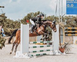 jumper Raissa 145 (Hanoverian, 2014, from Quality Boy)