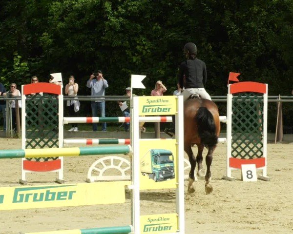 Reitturnier Winnenden 2024