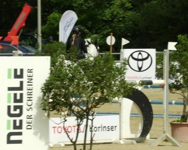 Reitturnier Winnenden 2024