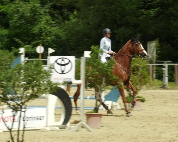 Reitturnier Winnenden 2024