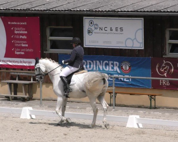 Reitturnier Taufkirchen-Vils/Obb. 2024