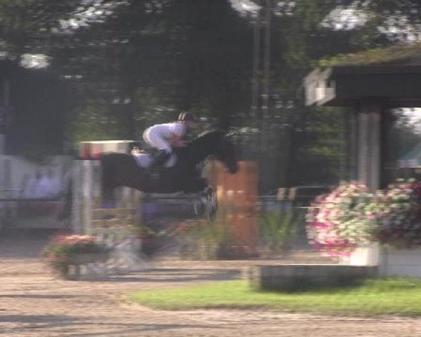 Datteln 2012