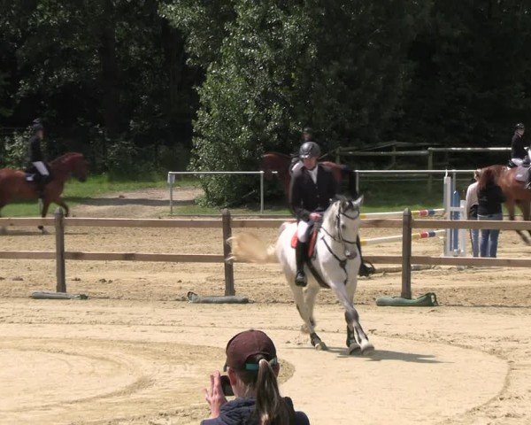 Reitturnier Oelde 2024