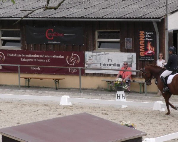 Reitturnier Taufkirchen-Vils/Obb. 2024