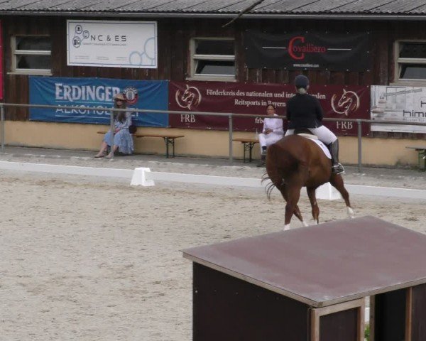 Reitturnier Taufkirchen-Vils/Obb. 2024
