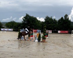 dressage horse Alisea 6 (Hessian Warmblood, 1999, from Alfuro)