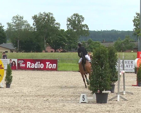 Reitturnier Rot am See- Musdorf 2024