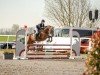 jumper Discessus Trust (German Riding Pony, 2015, from Da Capo)