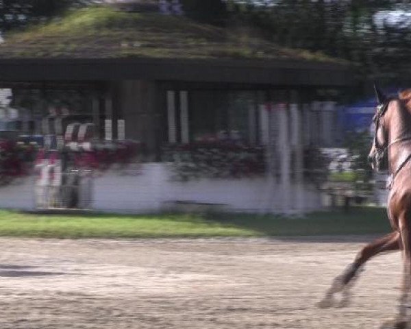 Datteln 2012