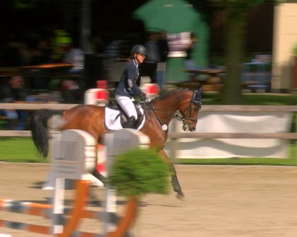 Reitturnier Barlo-Bocholt 2024