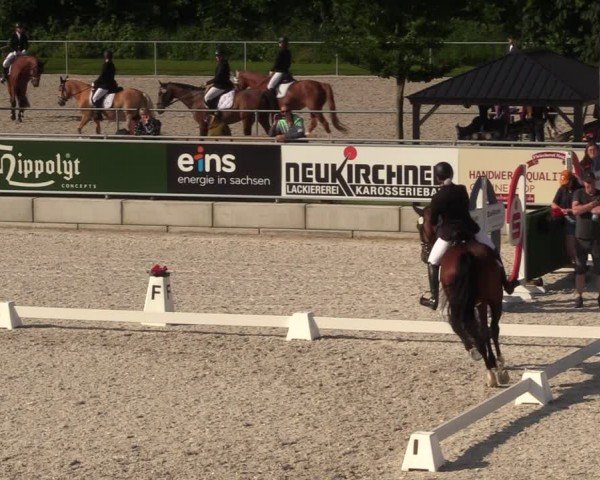 Reitturnier Dorfchemnitz 2024